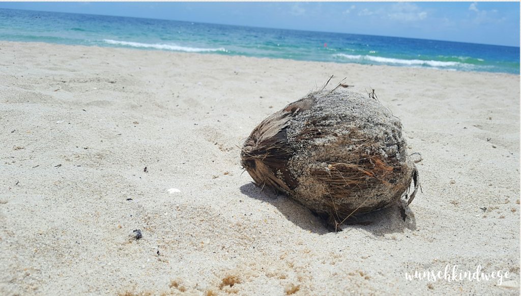 Kokosnuss Lauderdale-by-the-Sea