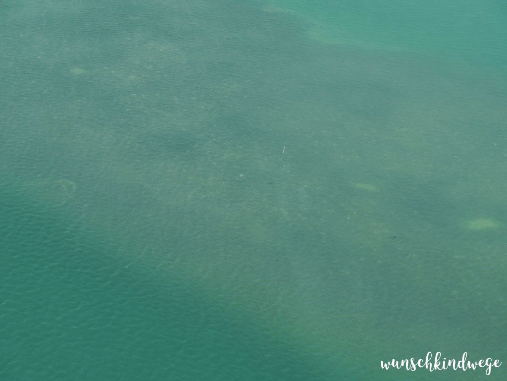 Florida: Riff Meer mit Stingrays