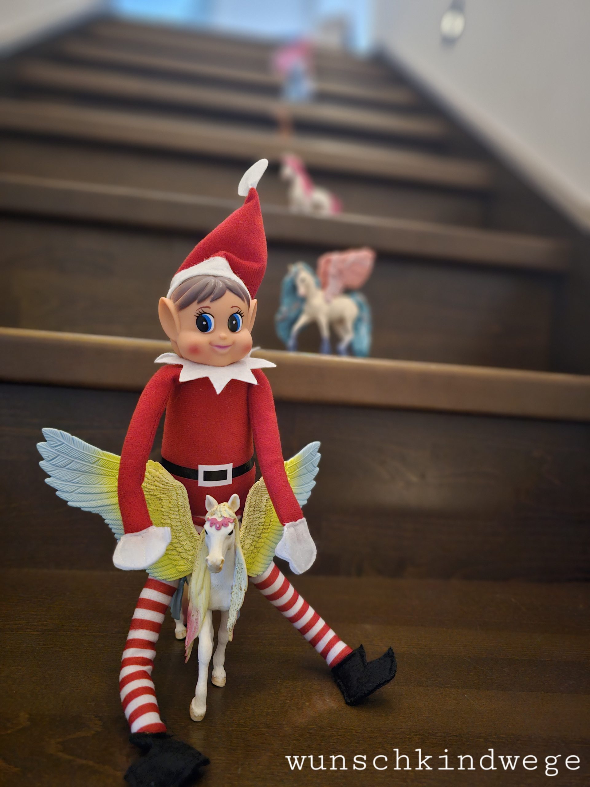 Ausritt Elf on the Shelf